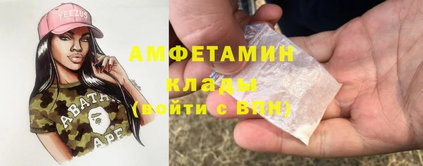 метадон Богданович