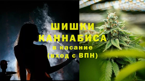 дмт Белокуриха